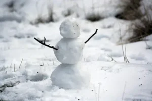 A small snowman with twig arms standing in a snowy yard, symbolizing winter preparation and home winterization tips